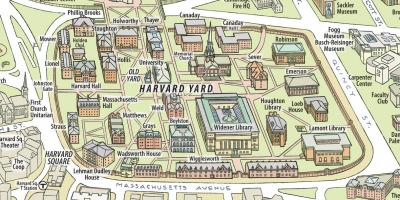 Bản đồ của đại học Harvard university